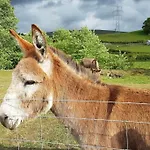 Halsteads: Peaceful Location, Stunning Views *