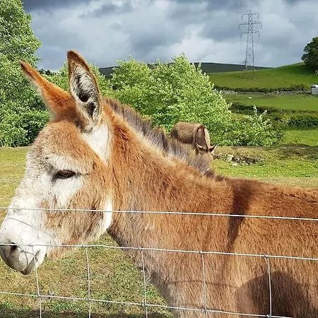 Halsteads: Peaceful Location, Stunning Views *