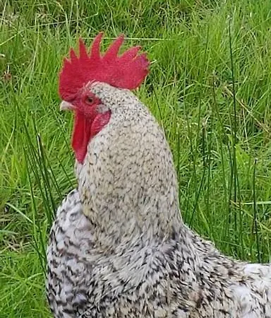 Halsteads: Peaceful Location, Stunning Views Soutergate